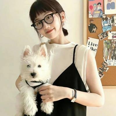我们爱企鹅